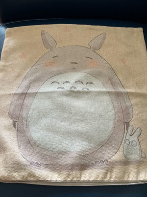 Pillow covers 45x45 used, manga prints, set of 2