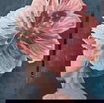 Ελαιογραφία με σπάτουλα 50x70 εκ., καινούργια