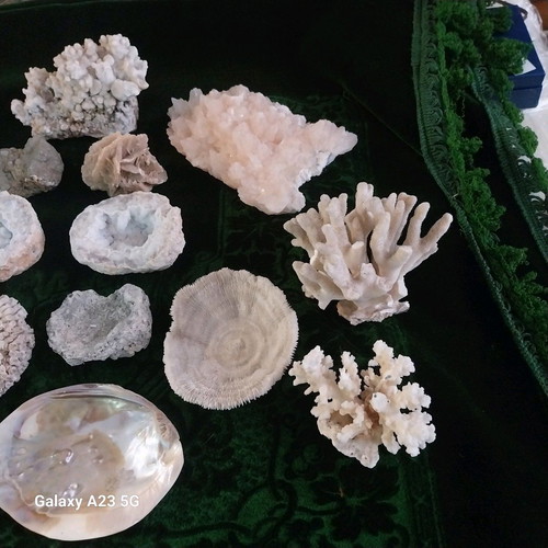 Coral and rock collection used, pack