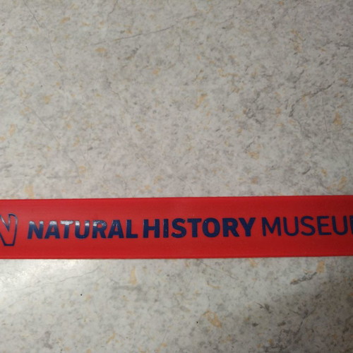 Bracelet from the Natural History Museum of England