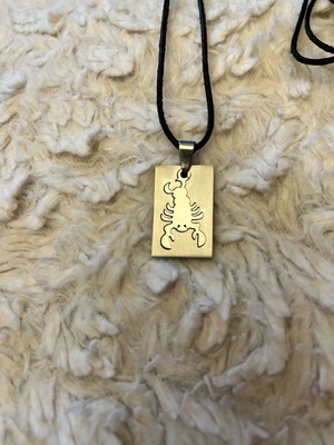 Scorpio zodiac necklace like new stainless steel with leather cord