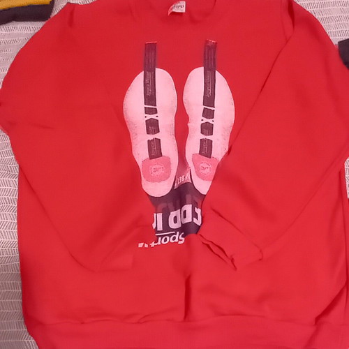 Pack of 3 used sweatshirts for 12-year-old boy Joyce, Mango, Oneiro