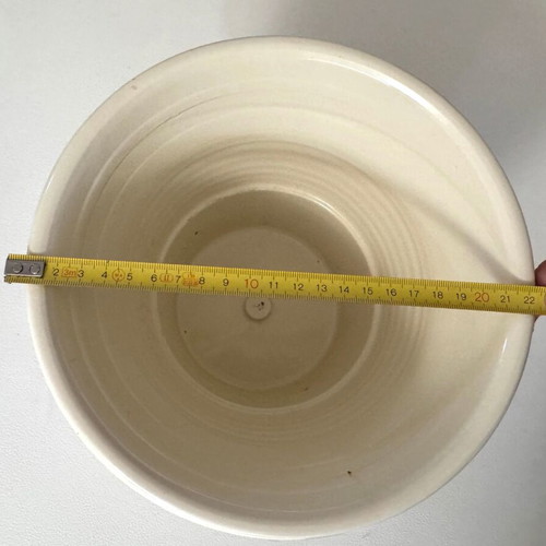 Beige ceramic flowerpot and new