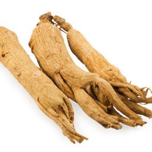 Panax Ginseng seeds, pack of 10, fresh for planting
