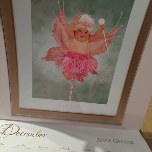 Anne Geddes 2009 calendar like new with photographic material