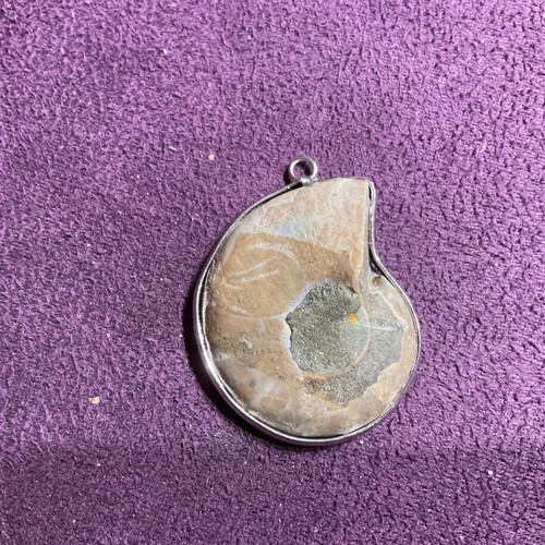 Ammonite pendant new
