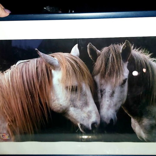 Horse painting in wooden frame like new