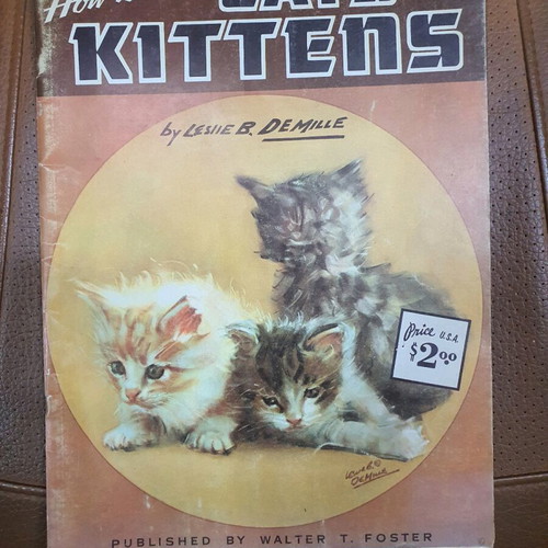 How to Draw Cats and Kittens book used