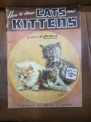 How to Draw Cats and Kittens book used