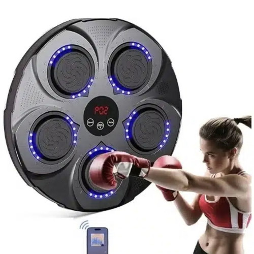 Musical Boxing Target QJB-01 new with Bluetooth and music