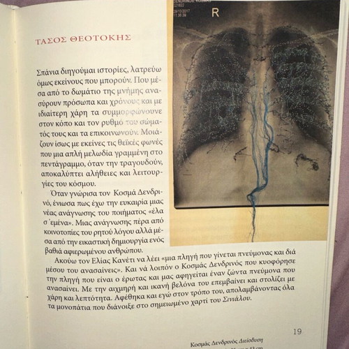 Eikonopoiisi 2 used, 10 new poets with 21 visual artists