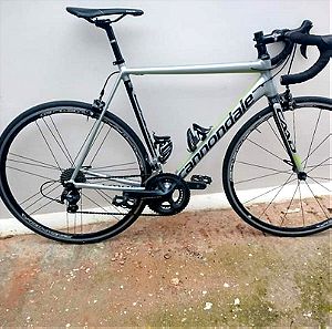 cannondale caad 12