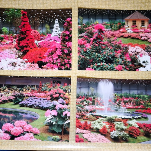 Floral collectible cards set of 4 like new