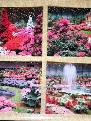 Floral collectible cards set of 4 like new