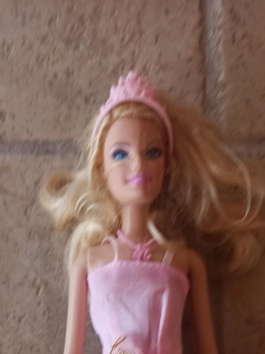 Barbie collectible set with brush used