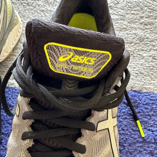 Asics Gel Nimbus 22
