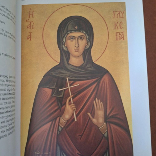 The Saints of Our Faith book like new