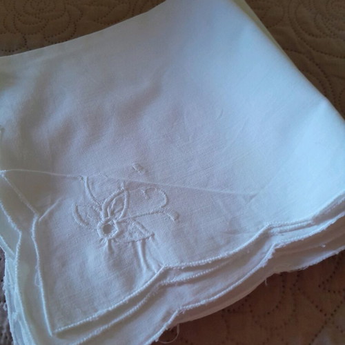 Napkins for food pack of 8 like new