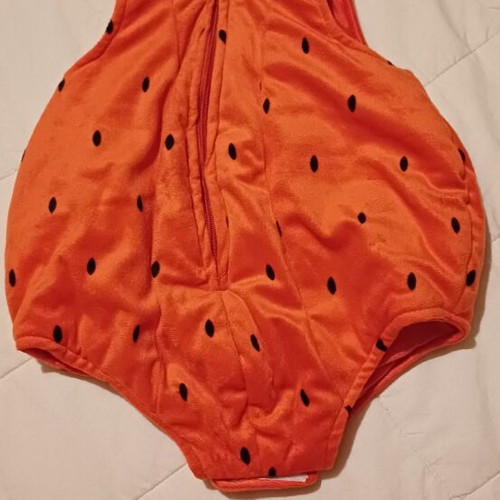 Strawberry Baby Costume carnival, like new, 6-12 months