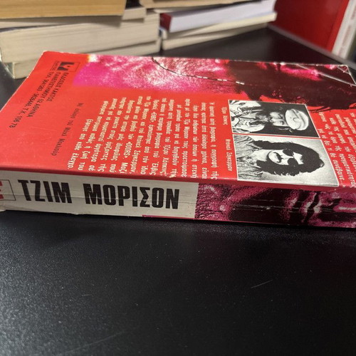 Jim Morrison The Life and Songs Used Book
