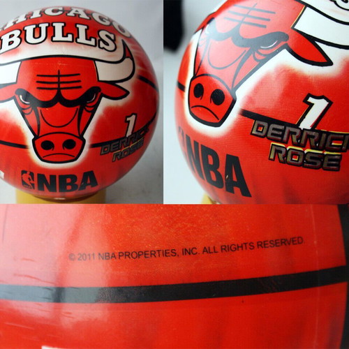 Plastic ball 2011 NBA Chicago Bulls Derrick new