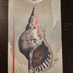 Maldives polymer banknote 2017