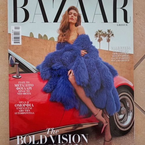Harper's Bazaar issue 342 new