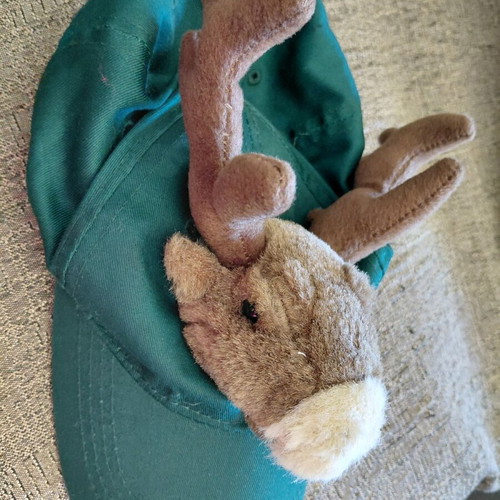 Christmas hat with reindeer