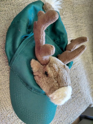 Christmas hat with reindeer