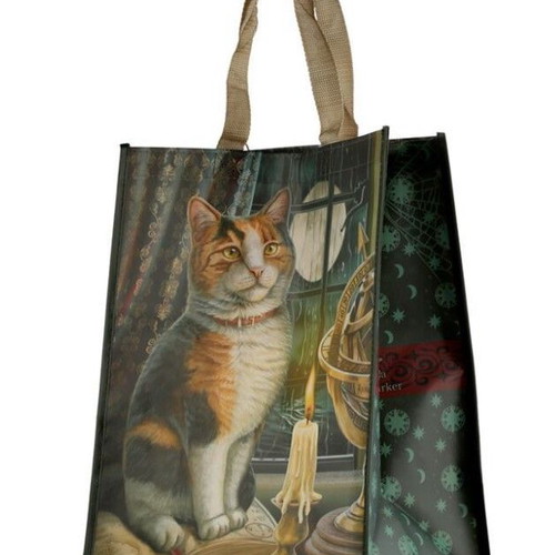 Lisa Parker Adventure Awaits Cat shopping bag new