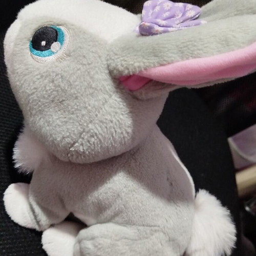 Betsy Bunny used interactive toy