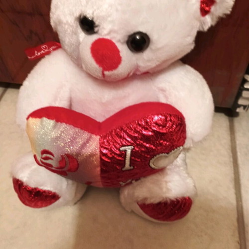 Plush teddy bear new