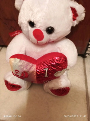 Plush teddy bear new