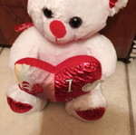 Plush teddy bear new