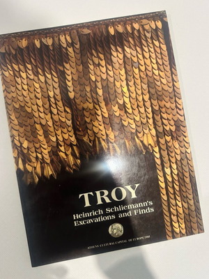 Troy book used, English