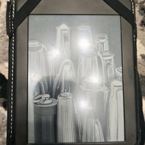 Kindle Paperwhite 7th edition used with case