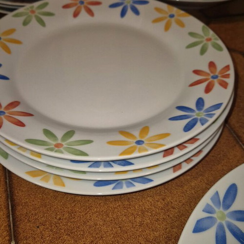Dish set used with 1 platter, 4 plates, 4 soup plates, 4 dessert plates