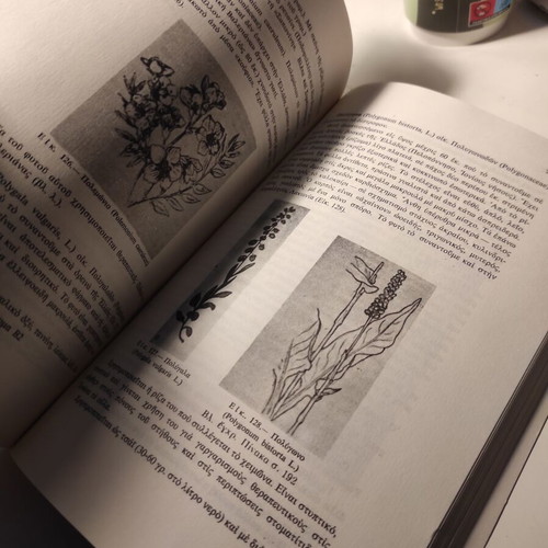 Modern Complete Herbal Therapeutics used, general phytotherapy