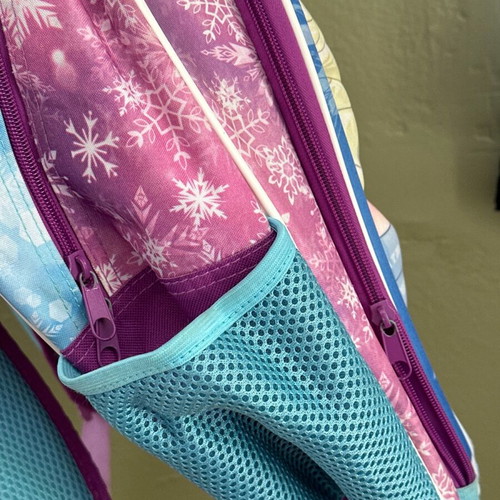 Frozen school backpack used