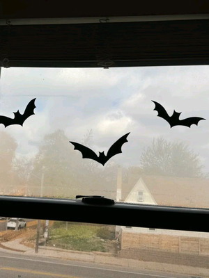 Decorative bats new, one piece