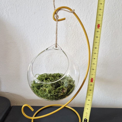 Terrarium decorative glass with moss on golden metal stand new