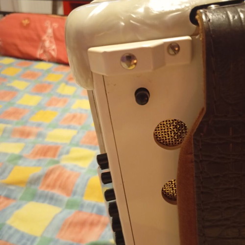 Brandoni accordion new, 80 bass, Italian