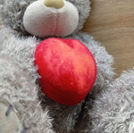 Plush used with ring case