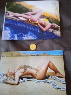 Britney Spears photos used, set of two large prints