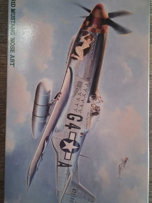 Hasegawa P-51D Mustang plastic model 1/48 scale
