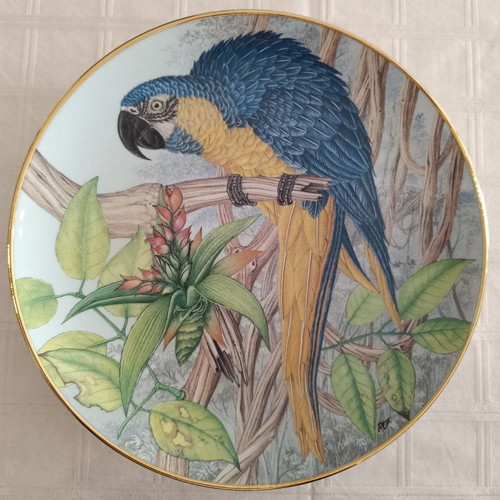 Collectible plates used, set of 5, tropical parrots, Kaiser W. Germany