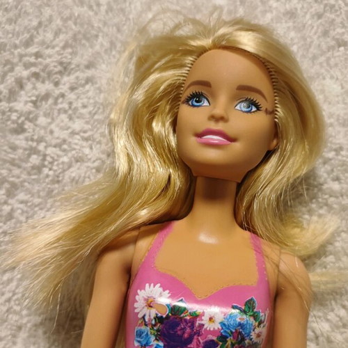 Barbie, Chelsea and Ken Fashionistas dolls used, original