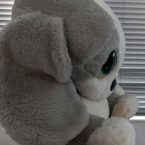 Grey plush puppy used, 45 cm sitting height
