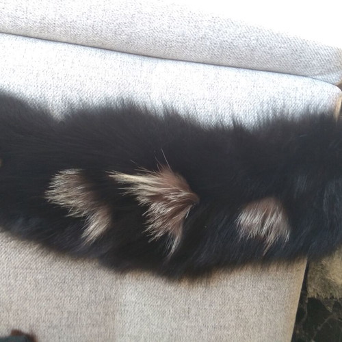 Fur collar ecological new