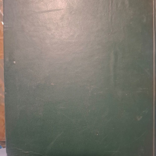 O Nonos book by Mario Puzo